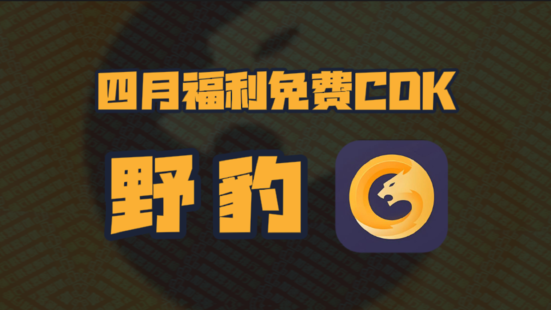 四月野豹加速器口令码大公开！专享CDK周卡月卡福利等你揭秘！