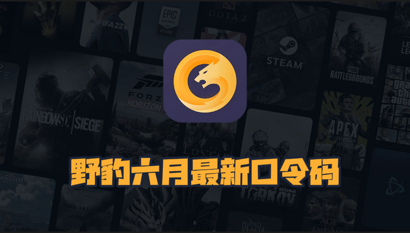 6月最新野豹加速器口令码出炉，专享周卡月卡CDK畅享加速快感！