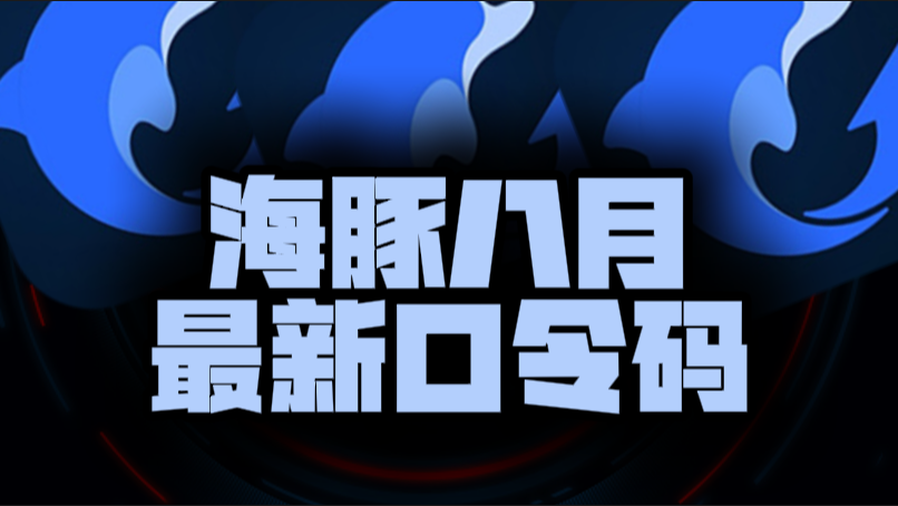 八月速看海豚加速器兑换码+CDK全曝光，嗨翻暑期！