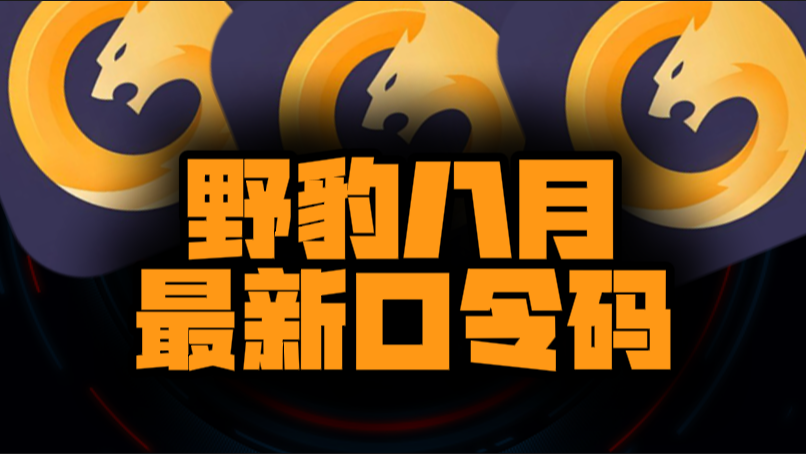 八月速看野豹加速器兑换码+CDK全曝光，嗨翻暑期！