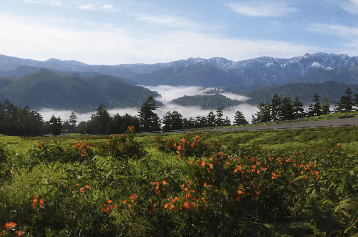 《地平线6》公布日本主题赛道!四季风景与多元地貌尽收眼底 《地平线6》公布日本主题赛道!四季风景与多元地貌尽收眼底