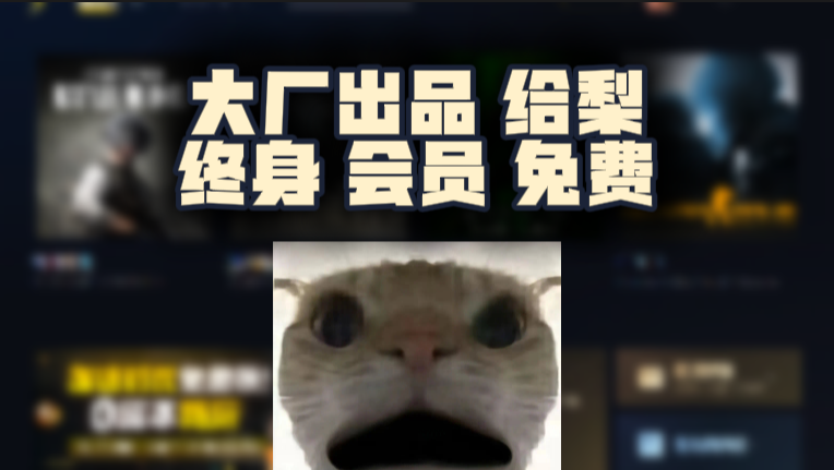 给梨加速器口令兑换码终身会员CDK，大厂护航