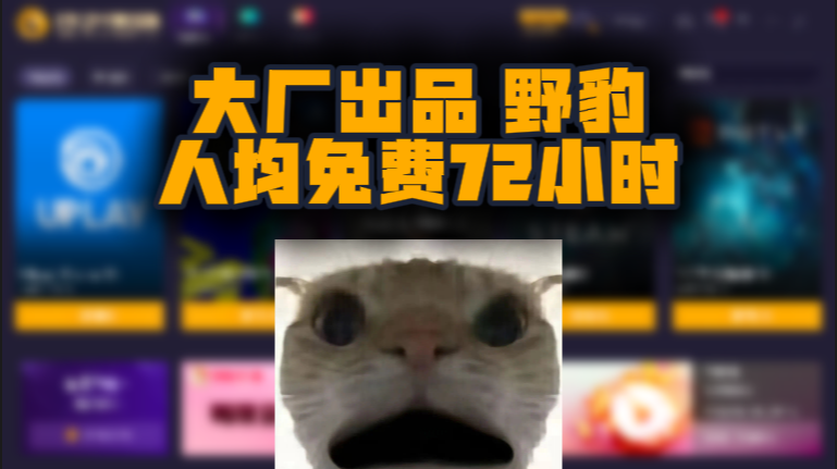 野豹加速器口令兑换码三天CDK，大厂护航